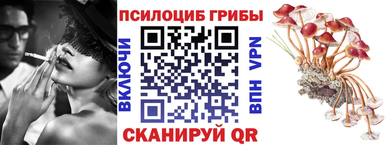 хочу наркоту Вязники гидра ССЫЛКА Псилоцибиновые грибы MAGIC MUSHROOMS